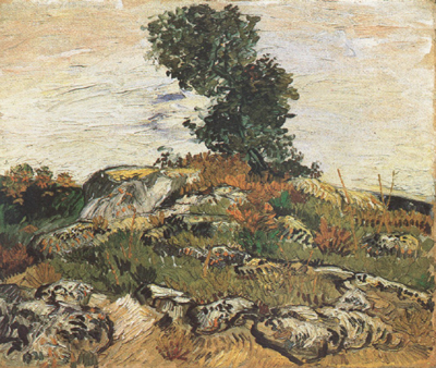 Rocks with Oak Trees (nn04)